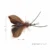 Midnight Forest Moth