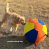 Golden retriever chasing the Rainbow Pop HugTug Giant Outdoor Air Ball Dog Toy during outdoor grass play.