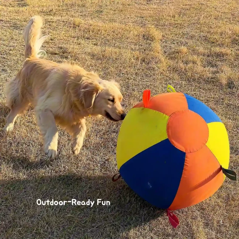 Rainbow Pop HugTug Giant Outdoor Air Ball Dog Toy Backyard Chase Golden retriever chasing the Rainbow Pop HugTug Giant Outdoor Air Ball Dog Toy during outdoor grass play.