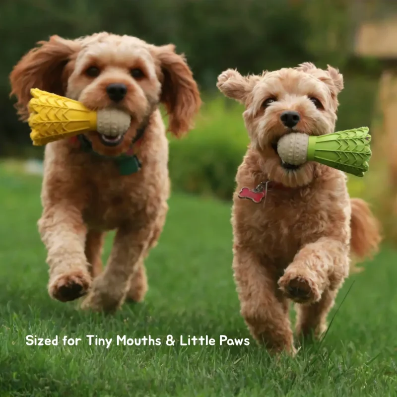 Small dogs running with Shuttlecock Indoor Fetch Dog Toys during outdoor fetch play, featuring Cheerful Yellow and Soft Green styles.