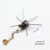 Shadow Wing Ant