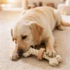 Dog chewing the TrailTug Bone Cotton Rope coffee wood rope dog enrichment toy on a cozy indoor rug.