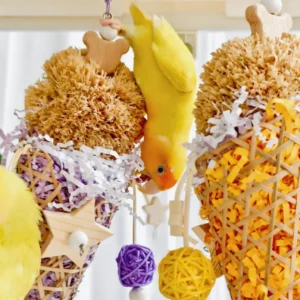 Small parrot playing with Sundae Shred Cone Foraging and Chew Toy, chewing paper shred and exploring hanging rattan bird enrichment toys