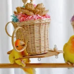 afternoon-tea-foraging-bird-toy-lovebird-play-scene Lovebird playing with Afternoon Tea Foraging Bird Toy made with rattan cup, soft cork, wood pieces and crinkle paper