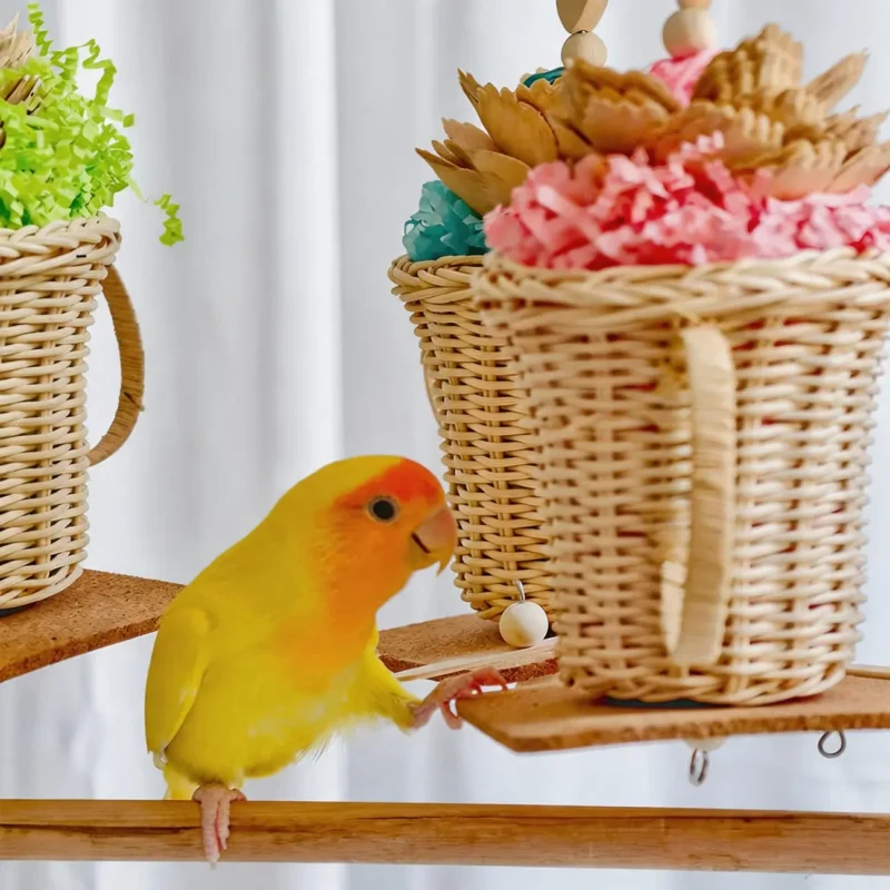 Small parrots exploring the Afternoon Tea Foraging Bird Toy for chewing, shredding and daily cage enrichment