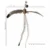 Twin Feather Glider