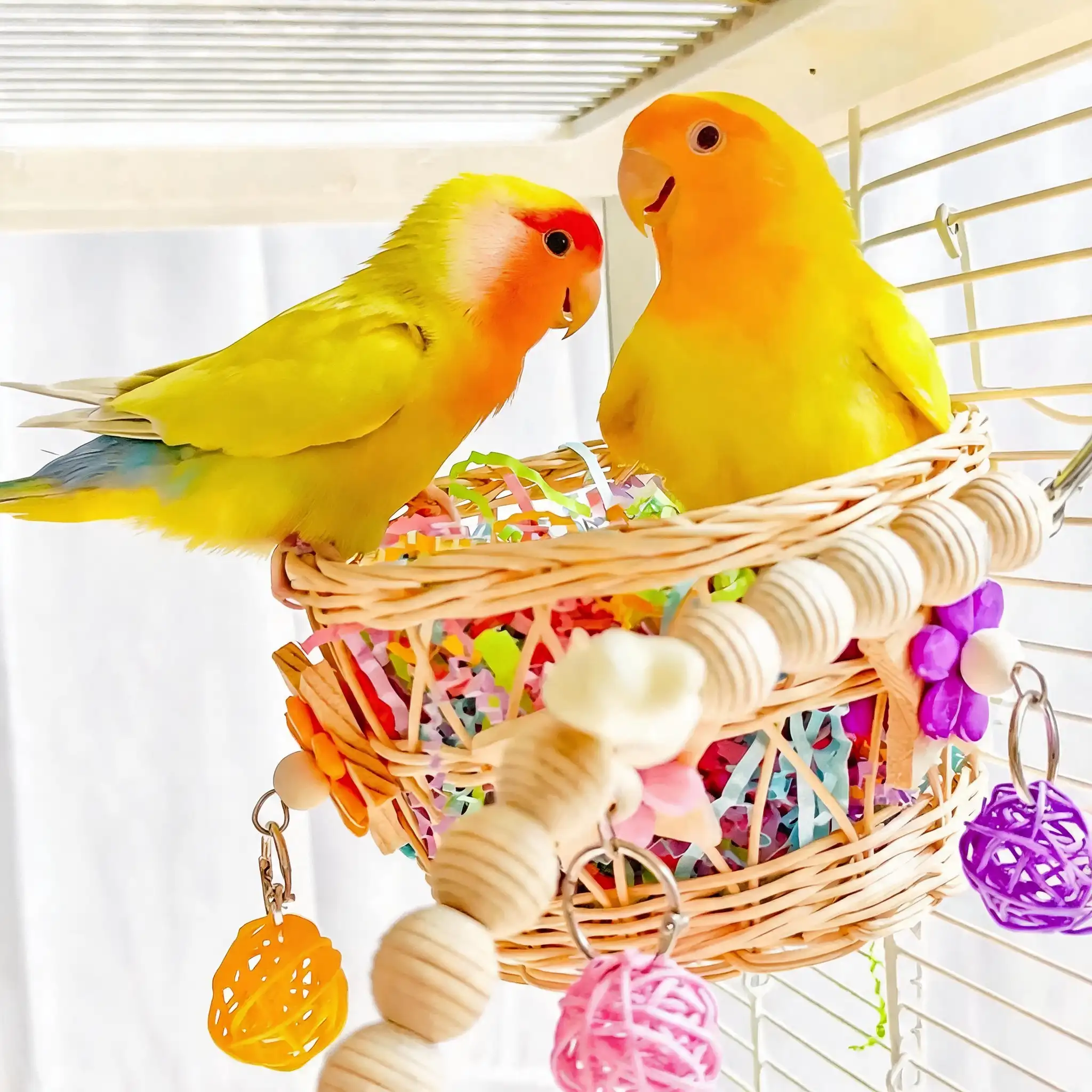 Shop bird essentials, featuring two lovebirds exploring a woven foraging basket with hanging toys.