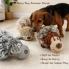 Dachshund sniffing soft plush squeaky animal dog ball toys on a living room floor, with text highlighting rainy-day indoor play.