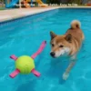 A dog swims toward the floating Lime Ball with Pink Strap in a pool, showing summer fetch play that is easy to see.
