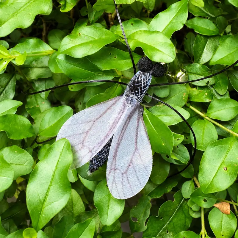 Long leg mosquito cat wand replacement toy resting among green leaves, showing its translucent veined wings, dark mesh body, and flexible legs.