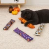 Black cat playing with a Halloween catnip kicker toy, hugging the plush toy during interactive wrestling play with festive pumpkin decorations nearby.
