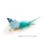 Blue Chickadee