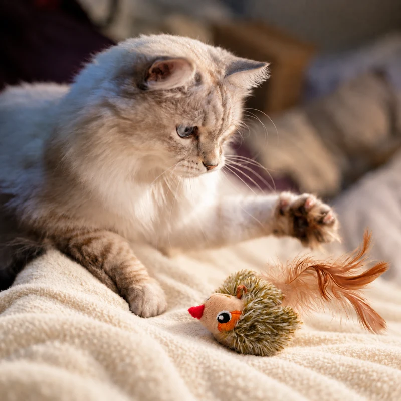 cat-playing-with-bird-simulation-cat-toy Cat watching a bird simulation cat toy with feather details during indoor play.