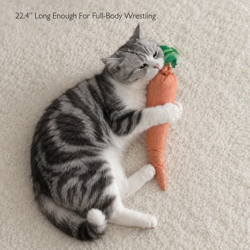 Cat hugging a carrot cat kicking toy while showing natural cat bunny kicks during wrestling play