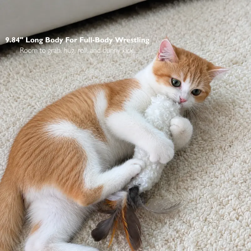 Orange and white cat holding a curly wool kicker toy while practicing natural bunny kicks during play