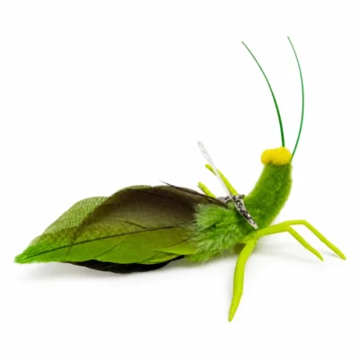 grasshopper-wand-toy-cat-feather-wing-insect-lure Grasshopper wand toy cat with feather wings, flexible antennae, and insect-inspired design for interactive play.
