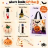 Gift Box B includes cute Halloween plush toys, interactive wand and seasonal cat accessories, a thoughtful gifts for cat owner choice.