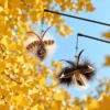 Leaf Camouflage Cat Butterfly Toy Wand Teaser featuring Autumn Leaf Butterfly and Woodland Camouflage Butterfly hanging among autumn leaves with soft fluttering wings.