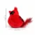 Red Cardinal