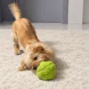 broccoli-plush-dog-playing-on-rug A small tan dog nudges a round broccoli plush toy on a living room rug during playtime.