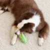 dog-playing-with-corn-plush-toy A brown-and-white dog gently mouths the green husks of a corn-shaped soft dog toy while lying on a cream rug.