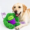 green-squeaky-plush-dog-toy-with-labrador Yellow Labrador lying beside a green squeaky plush dog toy, with arrows showing crinkle material in its arms and a squeaker inside its purple belly.