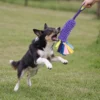 A black, tan, and white dog jumps to catch a Lavender Purple chenille mop tug toy held by its bungee handle during backyard play.