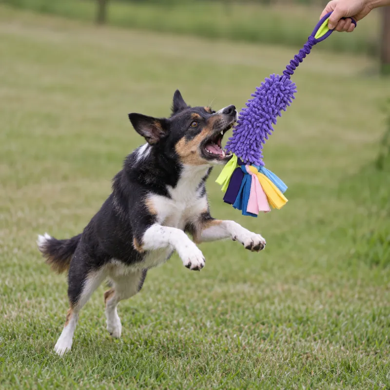 A black, tan, and white dog jumps to catch a Lavender Purple chenille mop tug toy held by its bungee handle during backyard play.