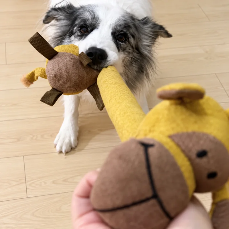 A dog grips one end of a mustard-yellow and brown giraffe plush while a person holds the other end during tug play.