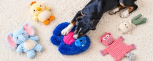 A puppy playing with colorful plush dog toys on a soft carpet, showing cozy soft dog toys designed for cuddling, carrying, and everyday play.