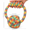 Size guide for a rainbow cotton rope dog toy showing a 19 cm overall height, 14 cm width, 10 cm chunky knot, and 2.5 cm rope thickness.