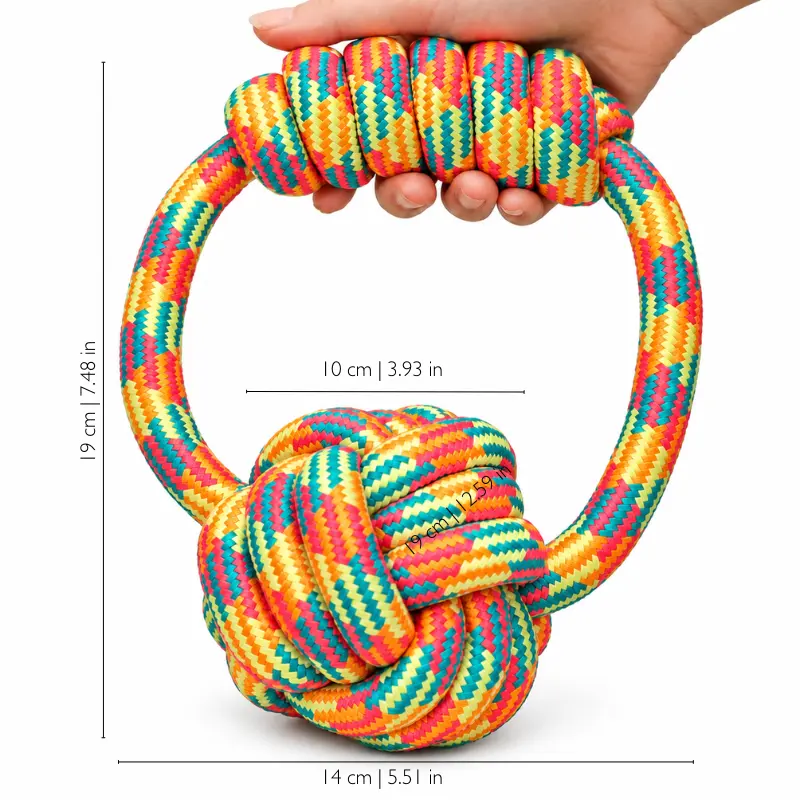 Size guide for a rainbow cotton rope dog toy showing a 19 cm overall height, 14 cm width, 10 cm chunky knot, and 2.5 cm rope thickness.