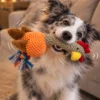 A fluffy black-and-white dog holding a chicken plushy dog toy by its textured neck, with an orange body and colorful rope legs.