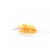Wheat